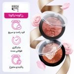 رژ گونه تراکوتا باریش وزن 10 گرم - تصویر 3